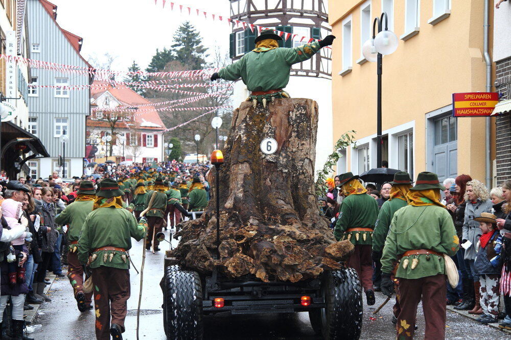 Narrensprung Münsingen Januar 2011