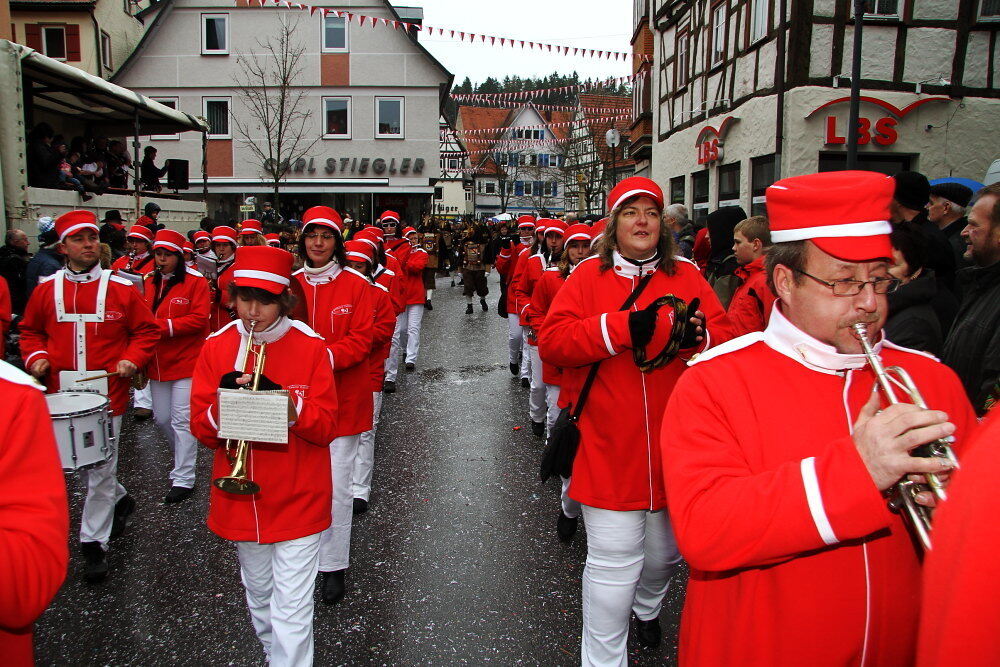 Narrensprung Münsingen Januar 2011