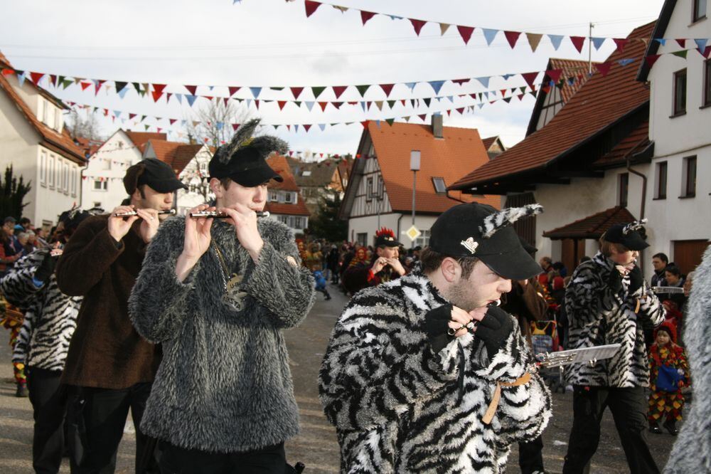 Fasnetsumzug St. Johann-Würtingen Januar 2011