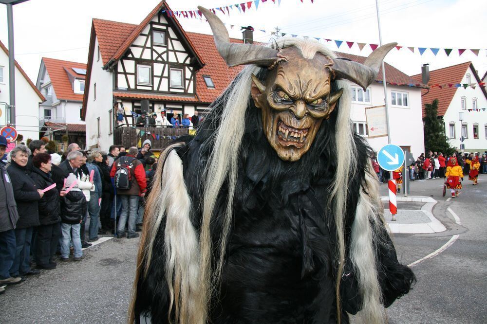 Fasnetsumzug St. Johann-Würtingen Januar 2011