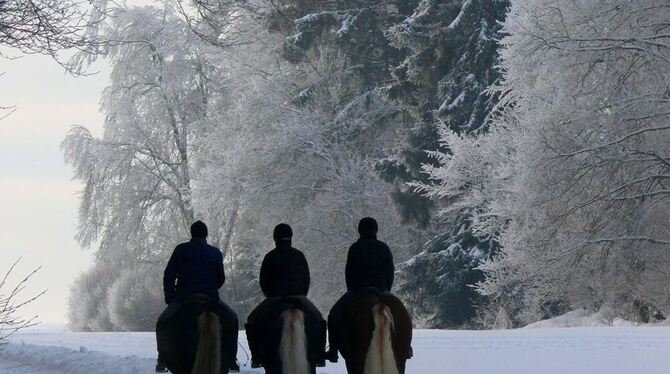 Knirschender Schnee unter den Hufen und dampfende Nüstern: Die Winterkulisse des Waldes bietet zurzeit besondere Naturerlebnisse