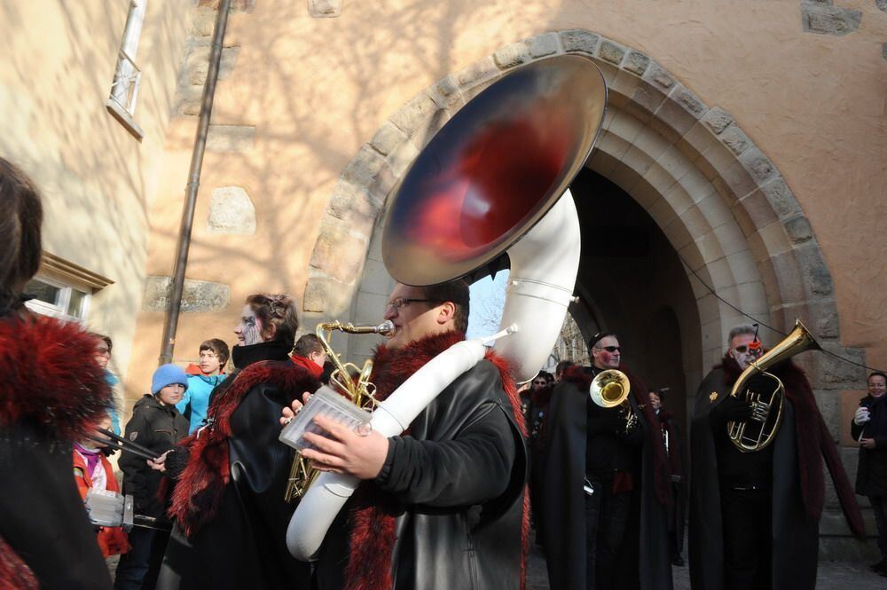 Narrenumzug in Reutlingen Januar 2011