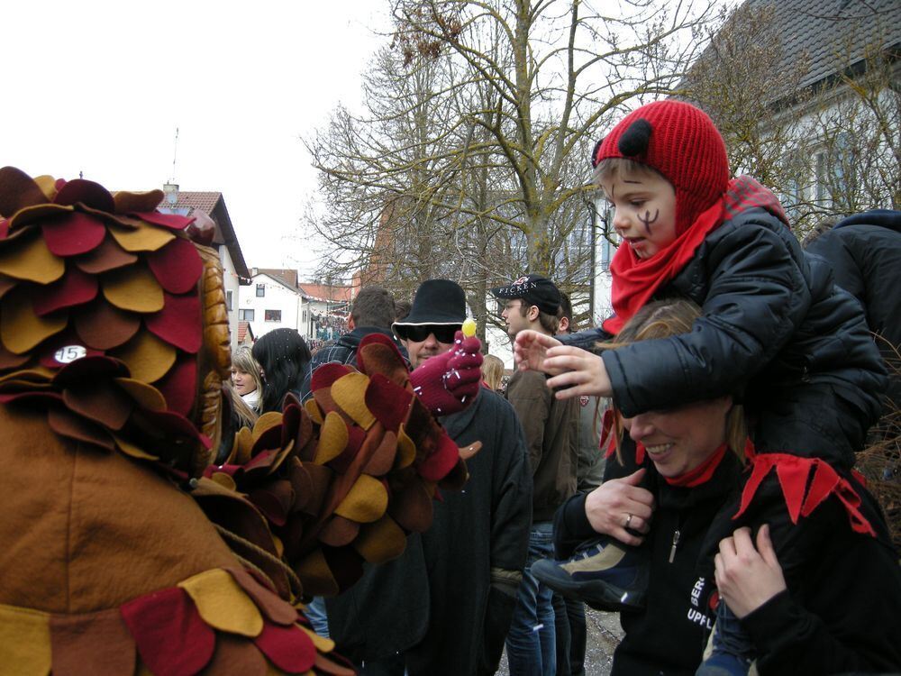 Narrenumzug Eglingen 2011