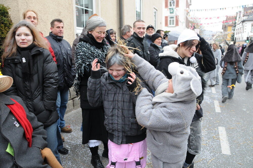 Narrenumzug Rottenburg 2011