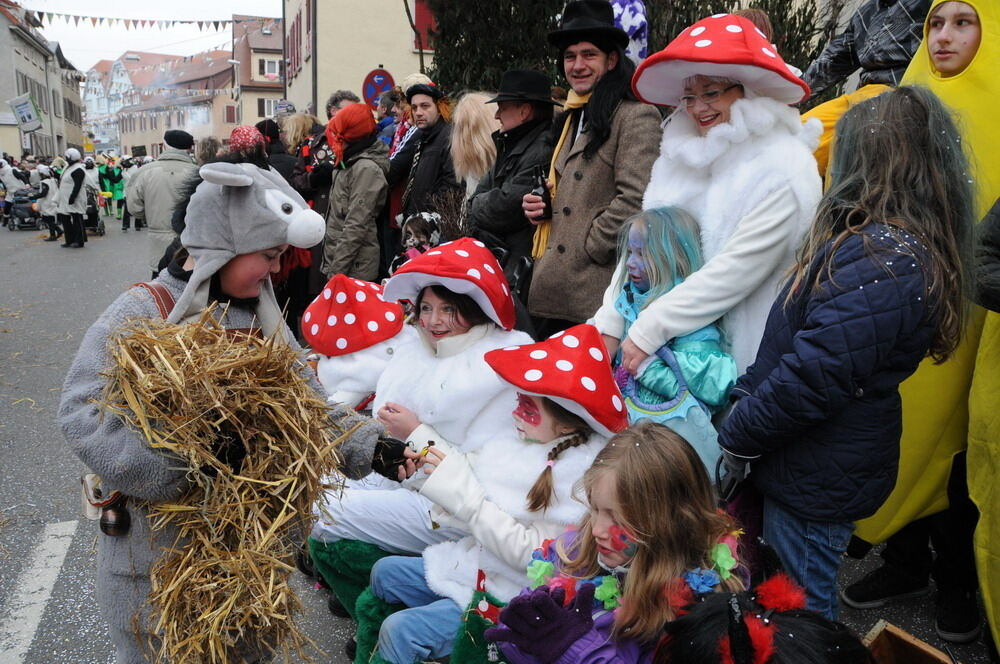 Narrenumzug Rottenburg 2011