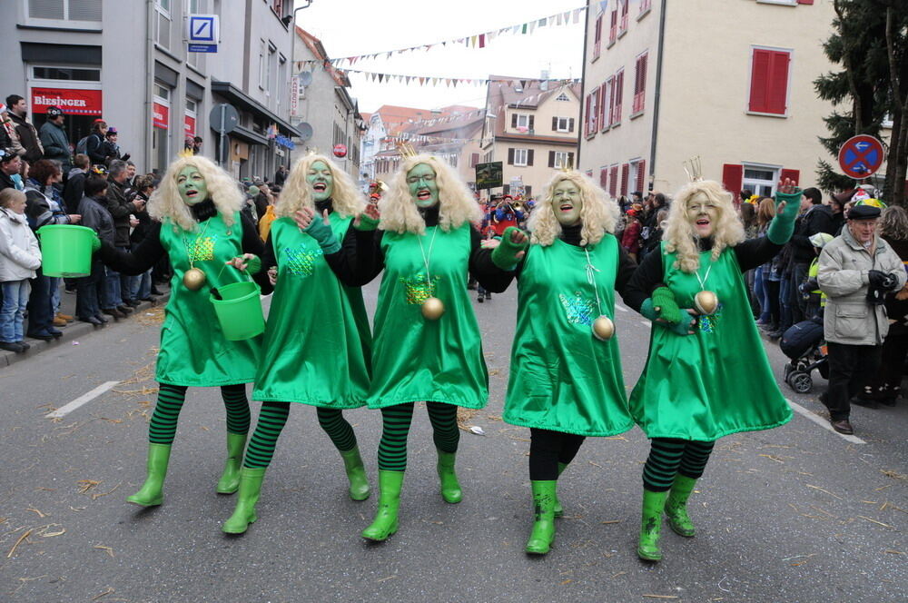 Narrenumzug Rottenburg 2011