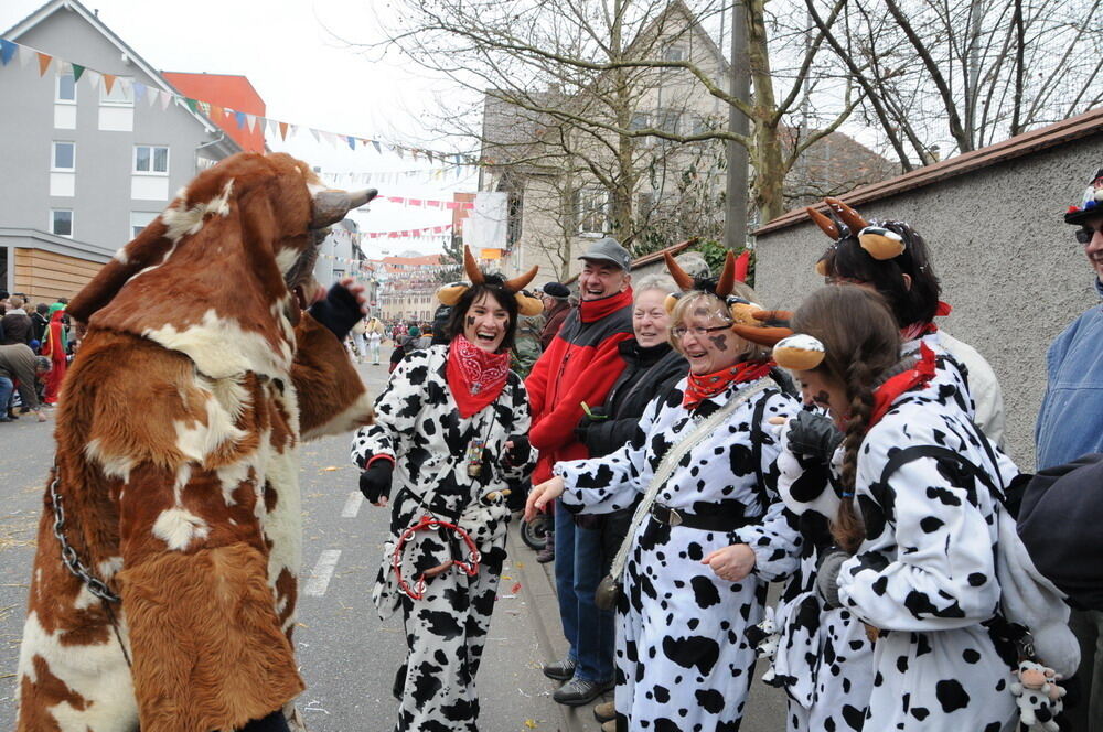 Narrenumzug Rottenburg 2011