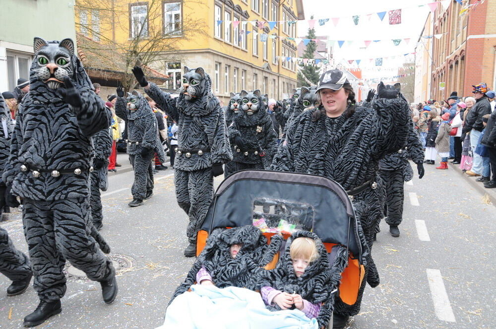 Narrenumzug Rottenburg 2011