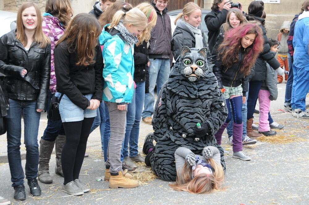 Narrenumzug Rottenburg 2011