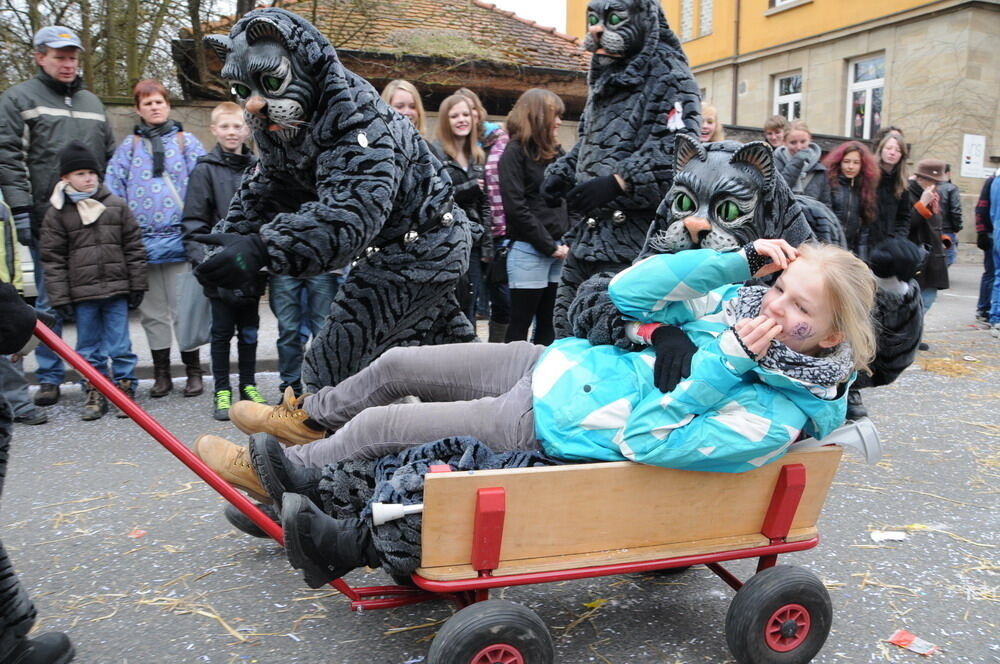 Narrenumzug Rottenburg 2011