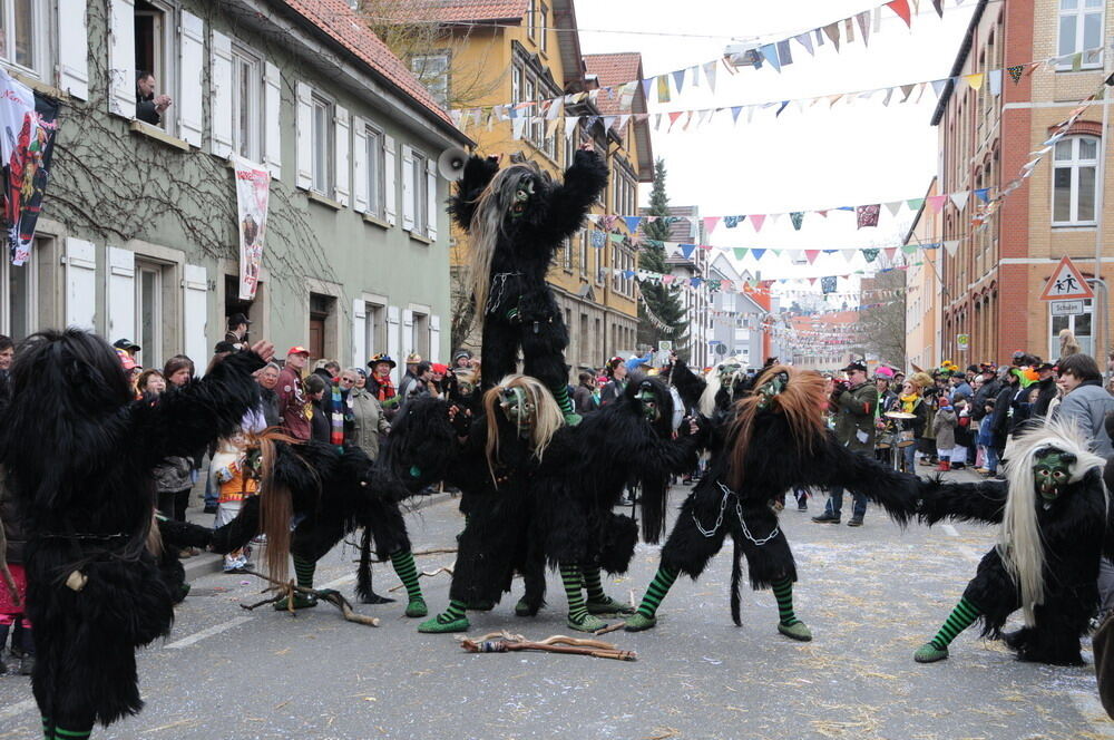 Narrenumzug Rottenburg 2011