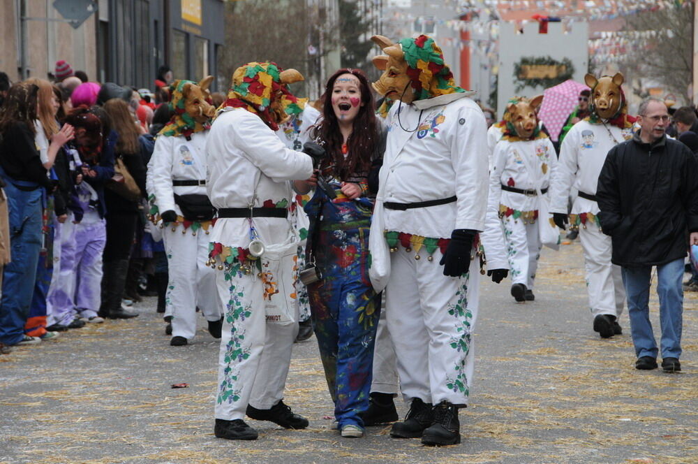 Narrenumzug Rottenburg 2011