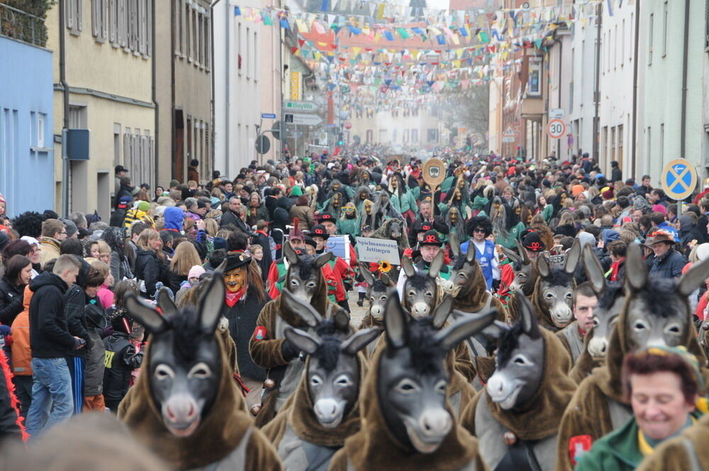 Narrenumzug Rottenburg 2011