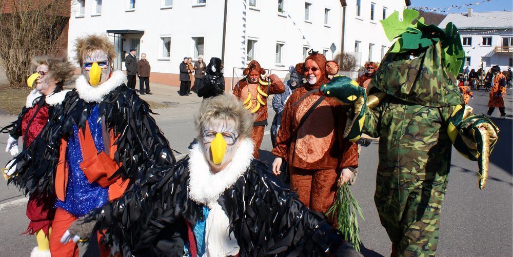 Fasnet Letzte Umzüge März 2011