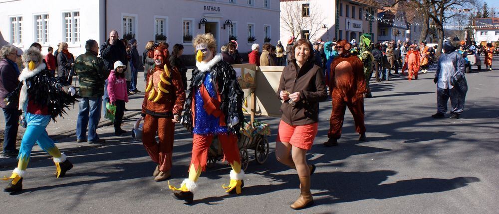 Fasnet Letzte Umzüge März 2011