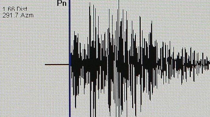 Seismogramm: In Japan gab es ein Erdbeben der Stärke 7,2. (Symbolbild)