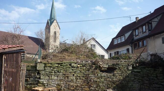 Unter dieser alten Trockenmauer dürften Reste der alten Stadtmauer ruhen. Links im Bild: der Stumpf der abgesägten Trauerweide.