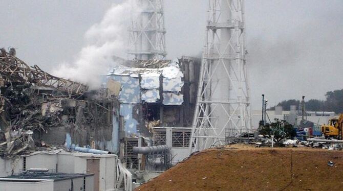 Blick auf das beschädigte Atomkraftwerk Fufushima 1. Foto: Tepco