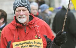 Eine Anti-Atomkraftveranstaltung in Reutlingen zog viele Menschen auf den Marktplatz. FOTO: TRINKHAUS