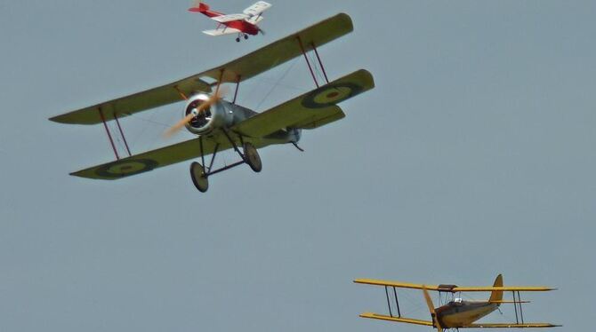 Ihre Flugzeuge präsentieren Hohensteins Alb-Modellflieger am Wochenende einmal ganz aus der Nähe. FOTOS: PR