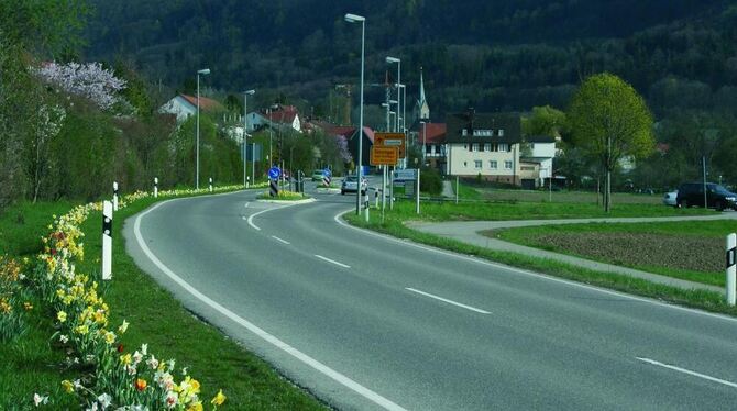 Im Herbst im Regen gepflanzt: der florale »Wegweiser« nach Gönningen.  FOTO: PR