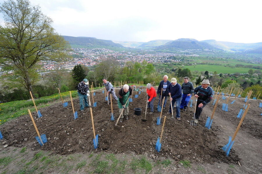 Weinbau Georgenberg 15. April 2011