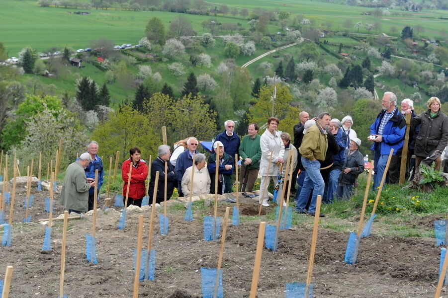 Weinbau Georgenberg 15. April 2011