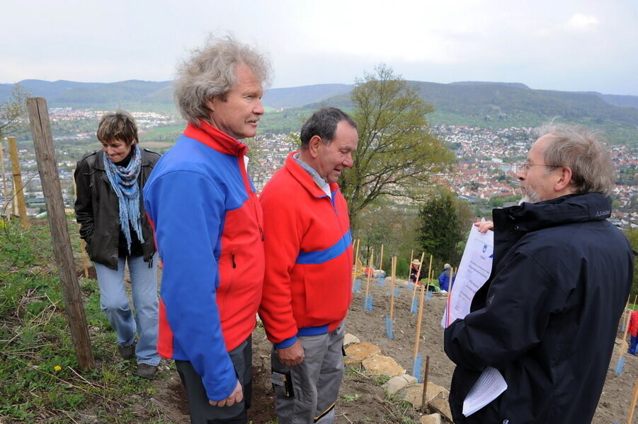 Weinbau Georgenberg 15. April 2011