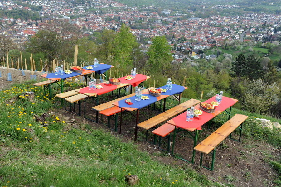 Weinbau Georgenberg 15. April 2011