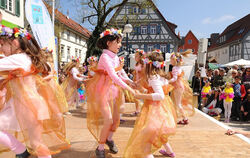 Frühlingserwachen Dettingen April 2011