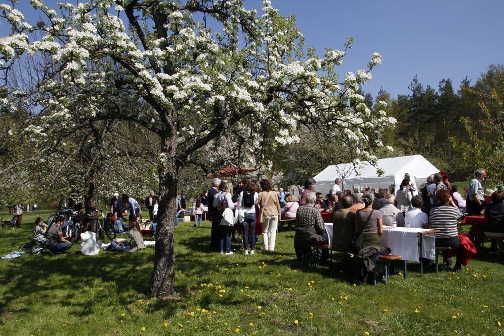 Kirschblütenfest Nehren 2011