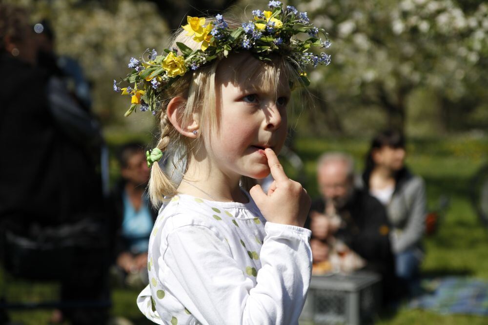 Kirschblütenfest Nehren 2011