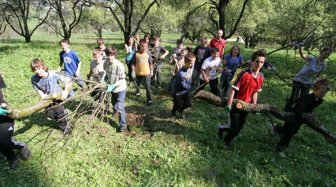 Mit vereinten Kräften: Die Siebtklässler der Bad Uracher Geschwister-Scholl-Realschule tragen einen zusammengebrochenen Baum und