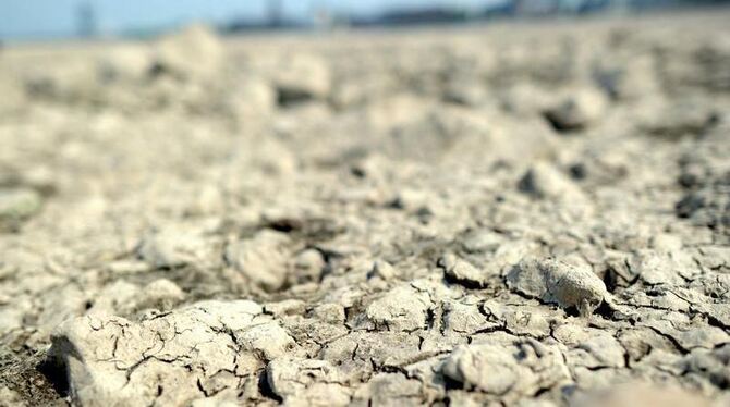 Risse im ausgetrockneten Rheinbett in Düsseldorf: Der Rhein weist den niedrigsten April-Pegelstand seit 30 Jahren auf.