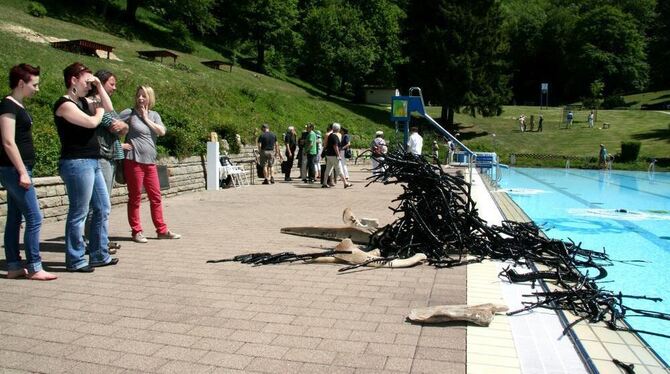 Das »Strandgut« am Rand des Schwimmbeckens des Eninger Waldfreibads regte die Besucher der Kunstschau zu kontroversen Diskussion