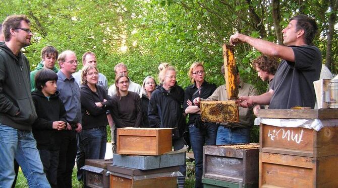 Erste Schritte in die Praxis: Kursleiter Andreas Oelkrug (rechts) zeigt den Neuimkern den Umgang mit Bienen.  FOTO: WEBER