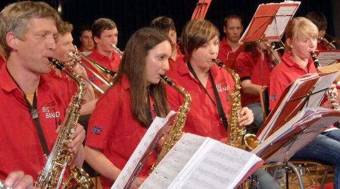 Beim Konzert der Bigband des Gymnasiums kamen auch anspruchsvolle Zuhörer auf ihre Kosten. FOTO: MANZ