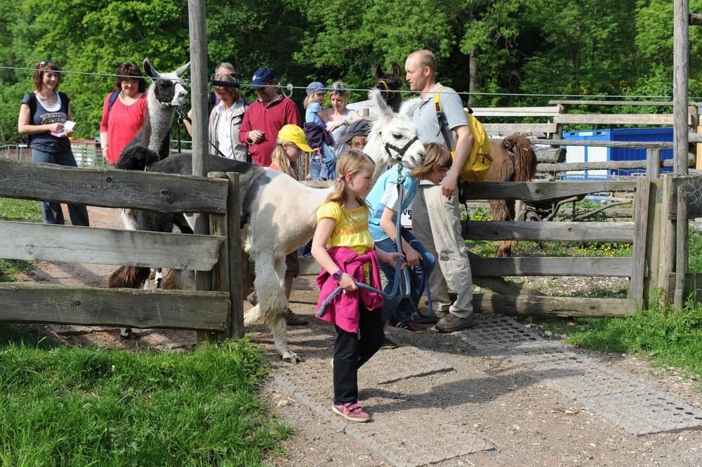 Lama Wanderung Mai 2011