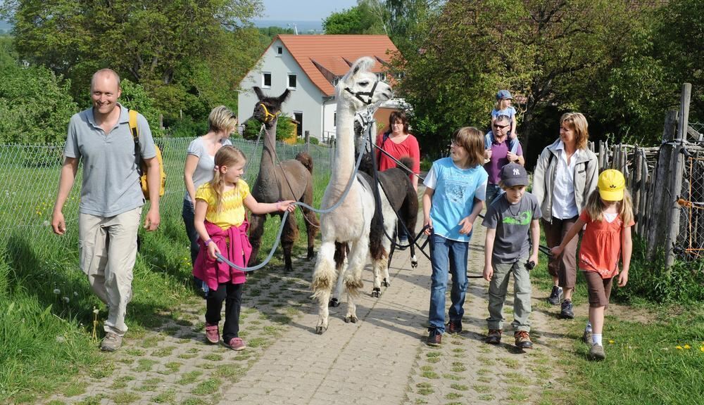 Lama Wanderung Mai 2011