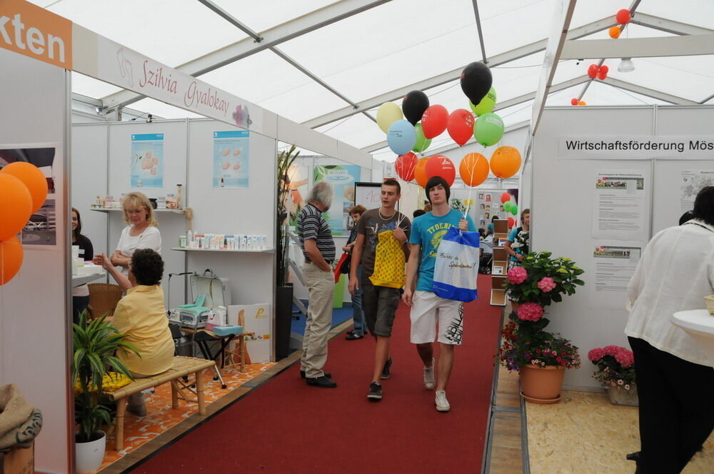 Steinlachmesse Mössingen 2011