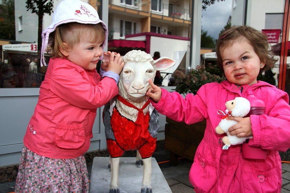 Erster Münsinger Schafauftrieb 2011