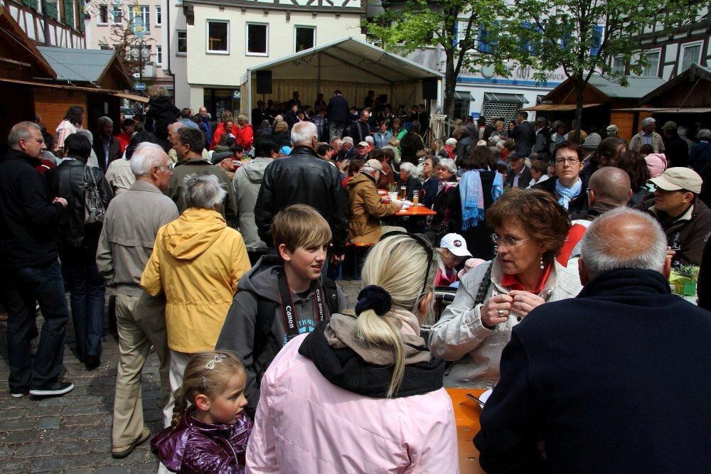 Erster Münsinger Schafauftrieb 2011