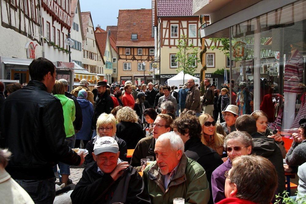 Erster Münsinger Schafauftrieb 2011