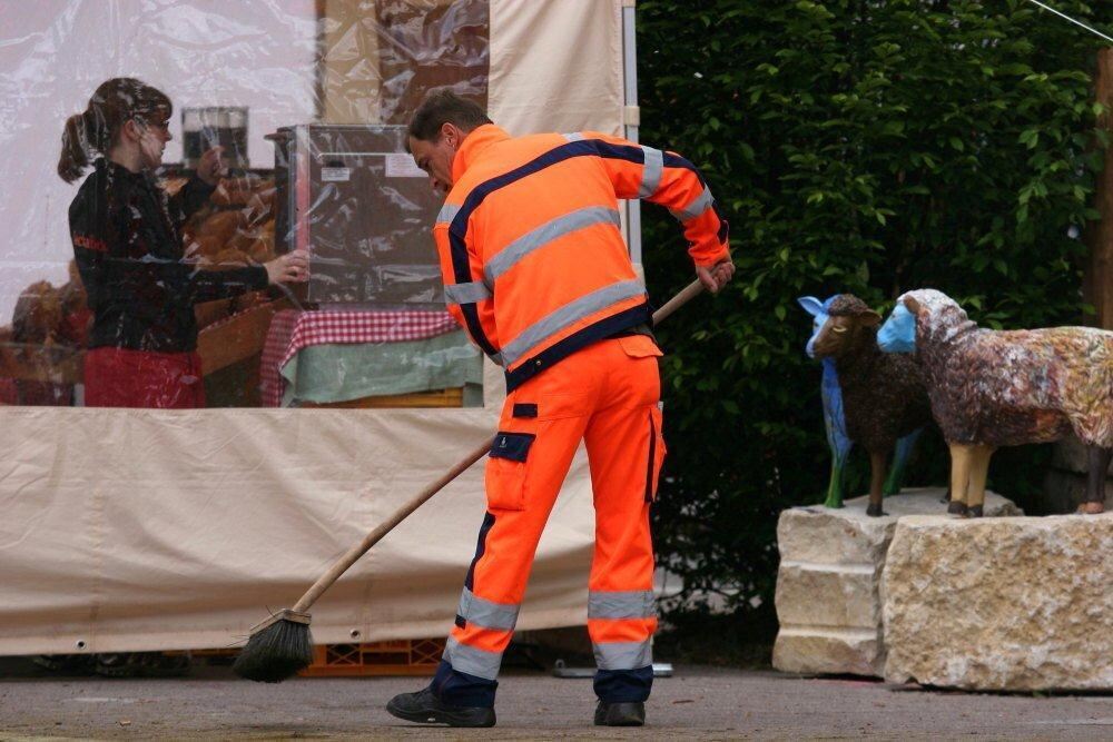 Erster Münsinger Schafauftrieb 2011