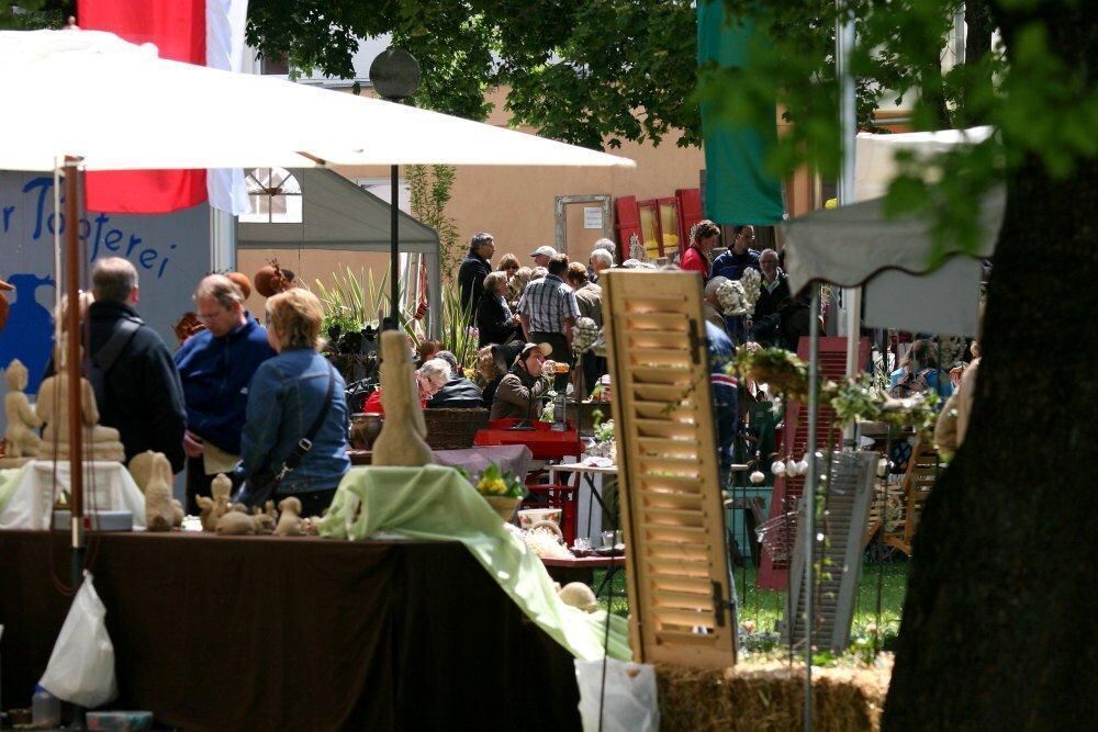 Erster Münsinger Schafauftrieb 2011