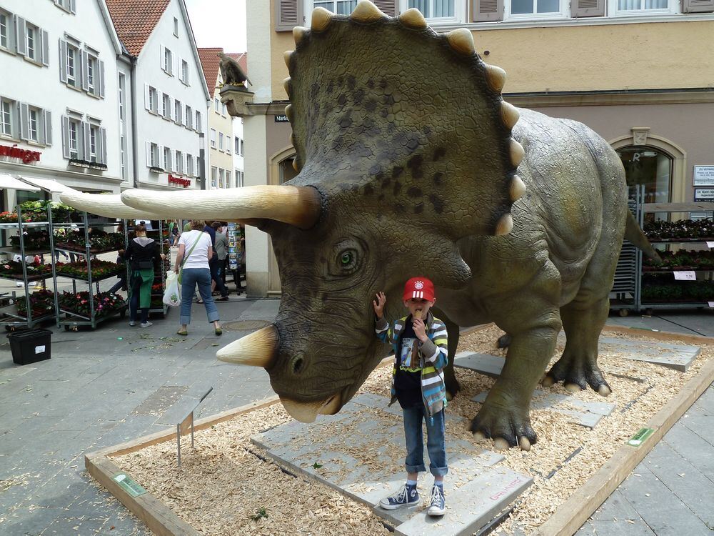 Tim (8 Jahre) war mit seinem Opa Hans-Jürgen Bader auf Dinojagd. FOTO: BADER