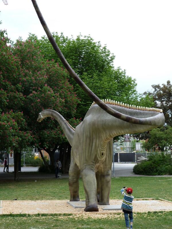 Tim (8 Jahre) war mit seinem Opa Hans-Jürgen Bader auf Dinojagd. Beim Lngshals interessierte Tim besonders, wo die Eier rauskomm