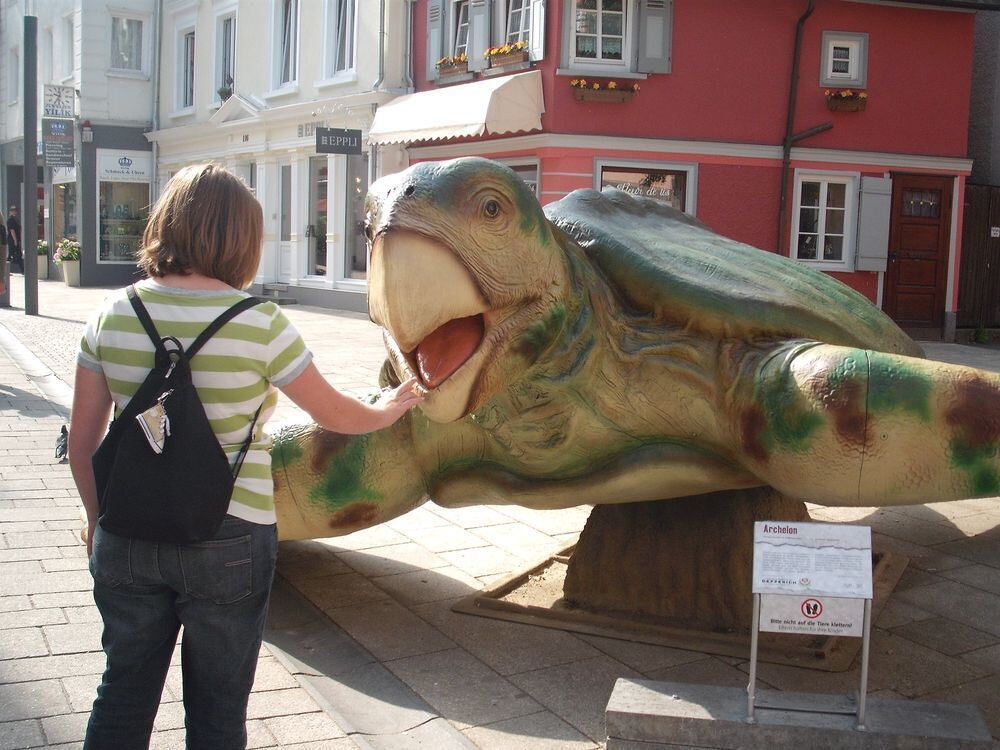 Die Tochter von Ottfried Hoppe wagt sich an Archelon heran. FOTO: HOPPE