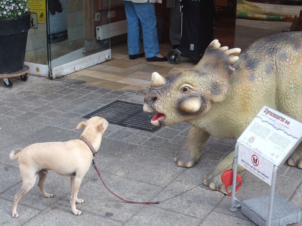 Hund mit Dinobaby. FOTO: HOPPE