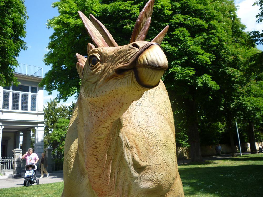 Tim Zeisl war mit seinem Opa auf Dinojagd. Beide hattens sehr viel Spaß. FOTO: ZEISL